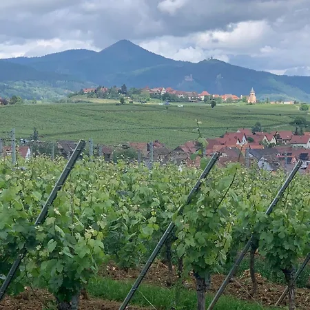 La Parenthese Beblenheim