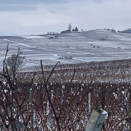 アパート La Parenthese ベーブレンハイム